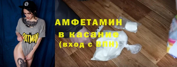 индика Нягань